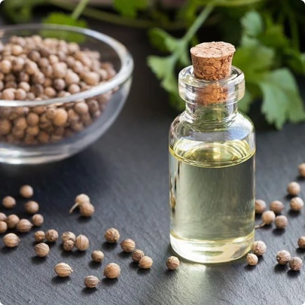 Coriandrum Sativum Seed Oil